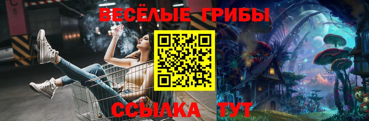 Галлюциногенные грибы мухоморы Жигулёвск