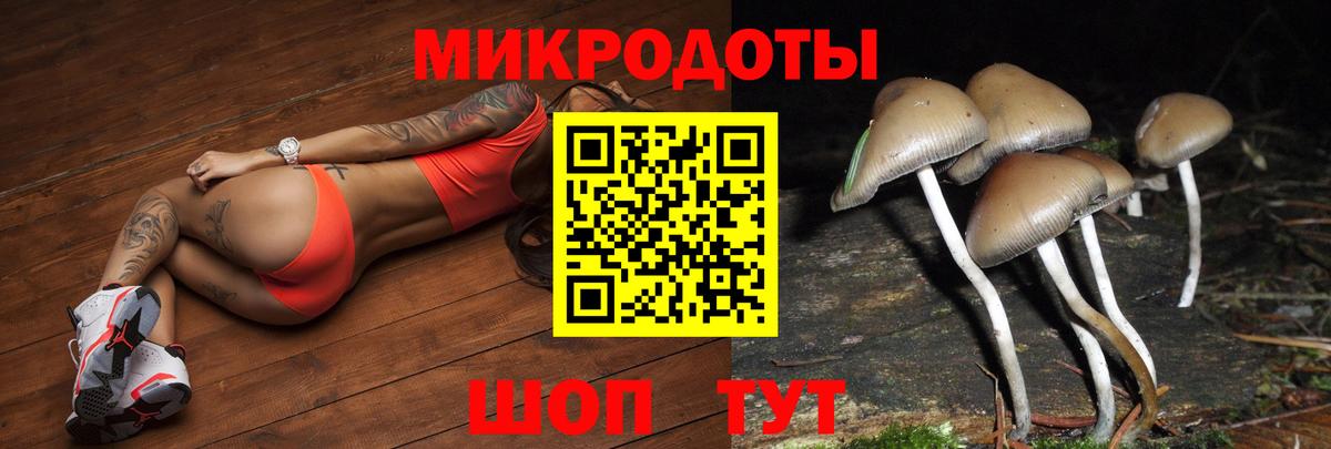 Жигулёвск  Псилоцибиновые грибы мухоморы  закладки  Вход с VPN 